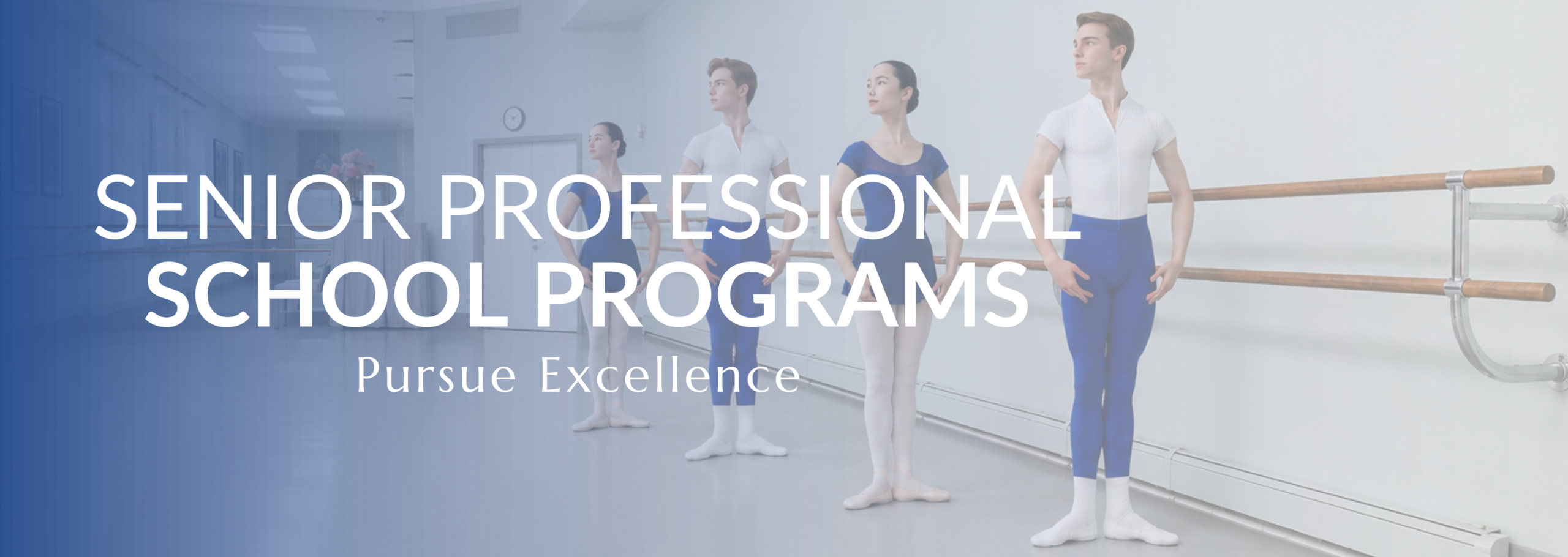 Senior Professional School
