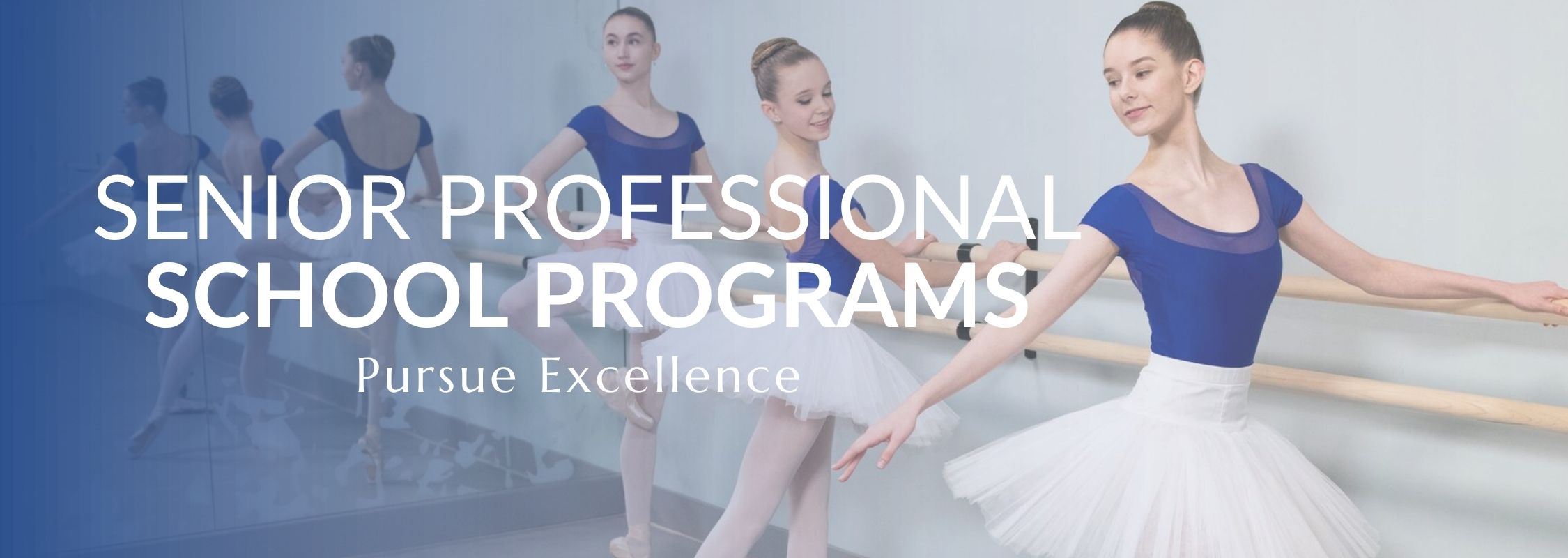Senior Professional School